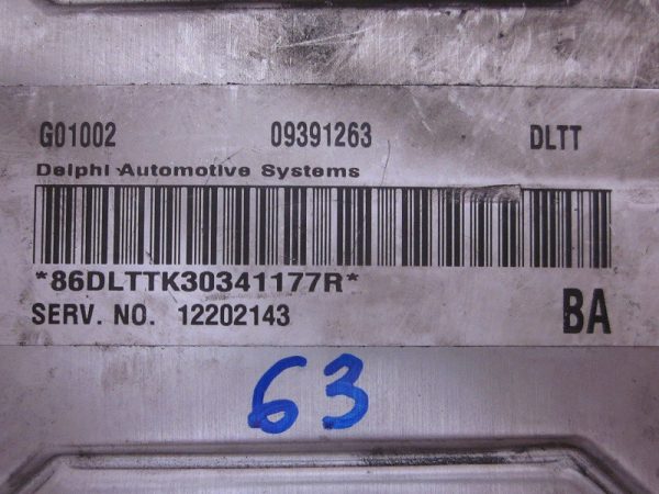 ECU DELPHI OPEL G01002 / 09391263 / DLTT