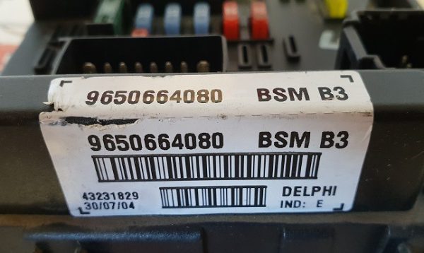 BSM B3 DELPHI PSA 9650664080
